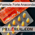 Anaconda Strong Formula new01